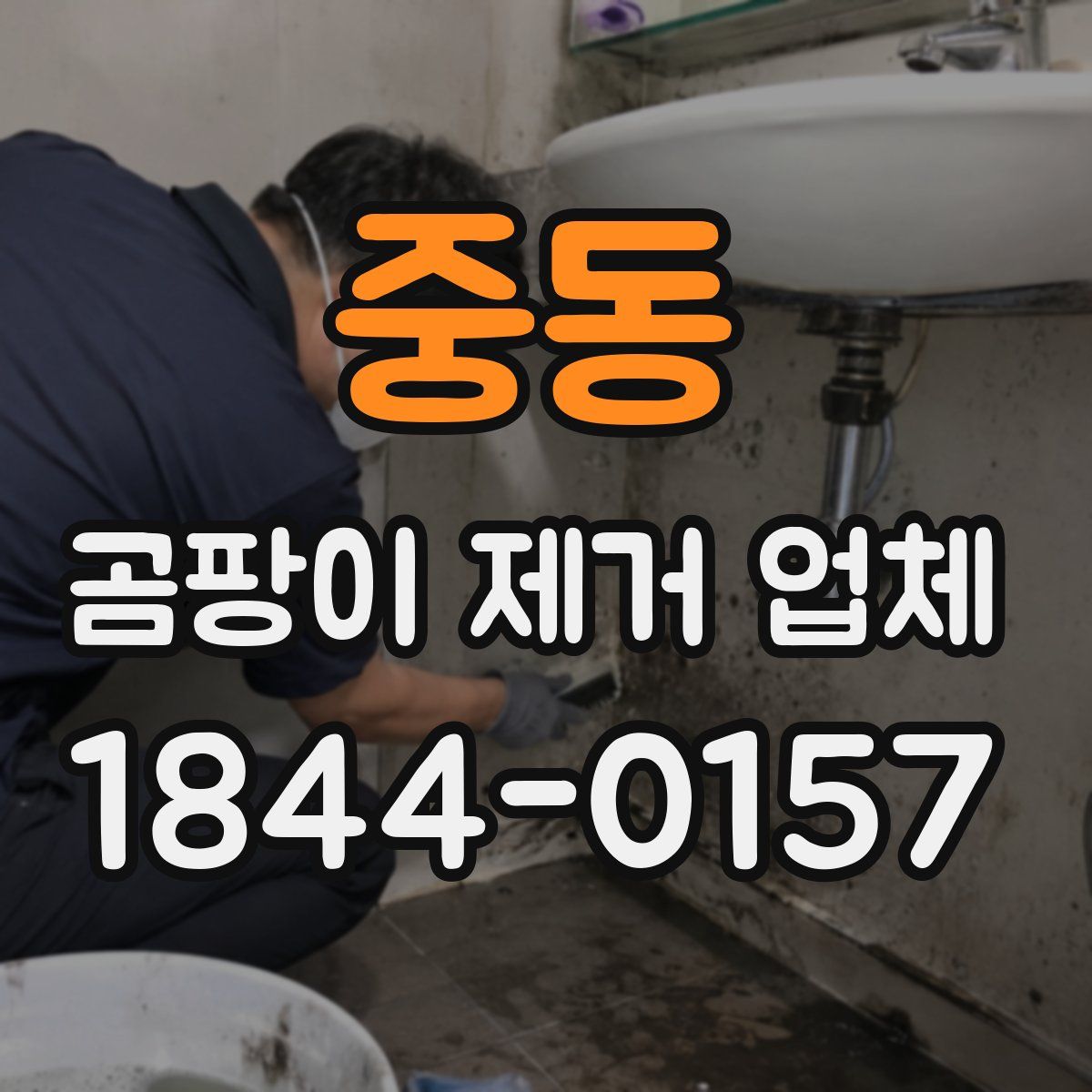 중동 곰팡이 제거 업체