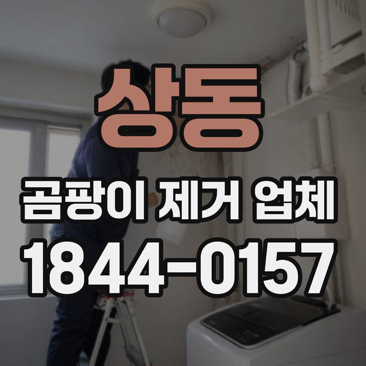 상동 곰팡이 제거 업체
