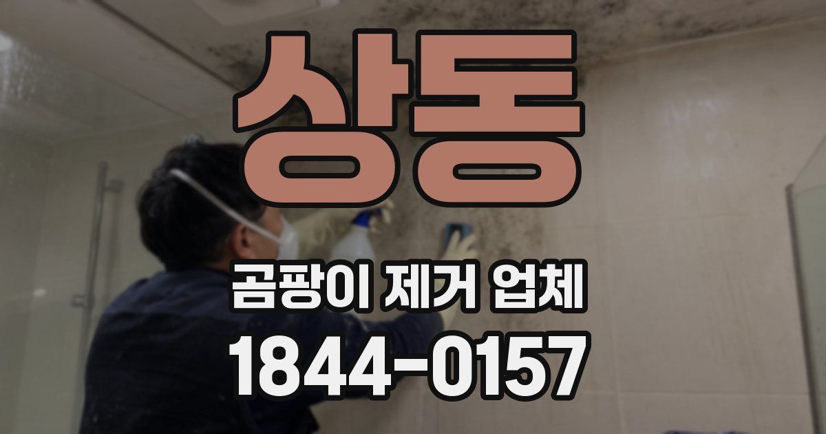 상동 곰팡이 제거 업체