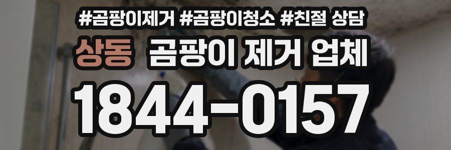 상동 곰팡이 제거 업체