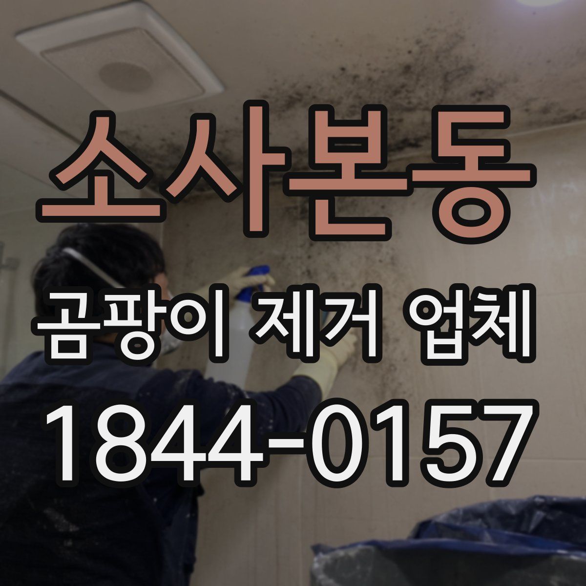 소사본동 곰팡이 제거 업체