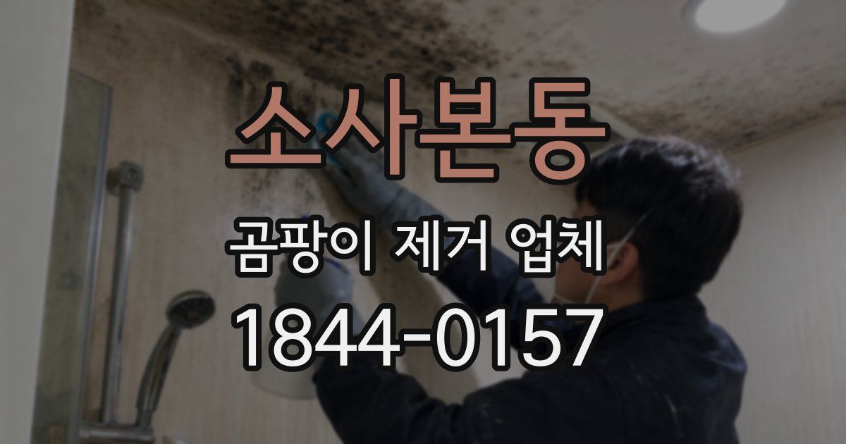 소사본동 곰팡이 제거 업체