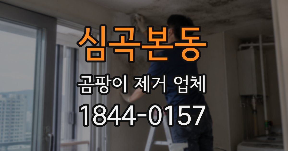 심곡본동 곰팡이 제거 업체