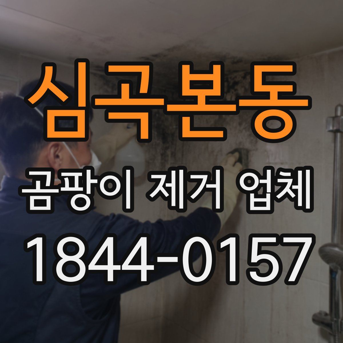 심곡본동 곰팡이 제거 업체