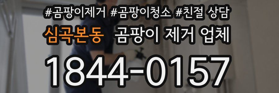심곡본동 곰팡이 제거 업체