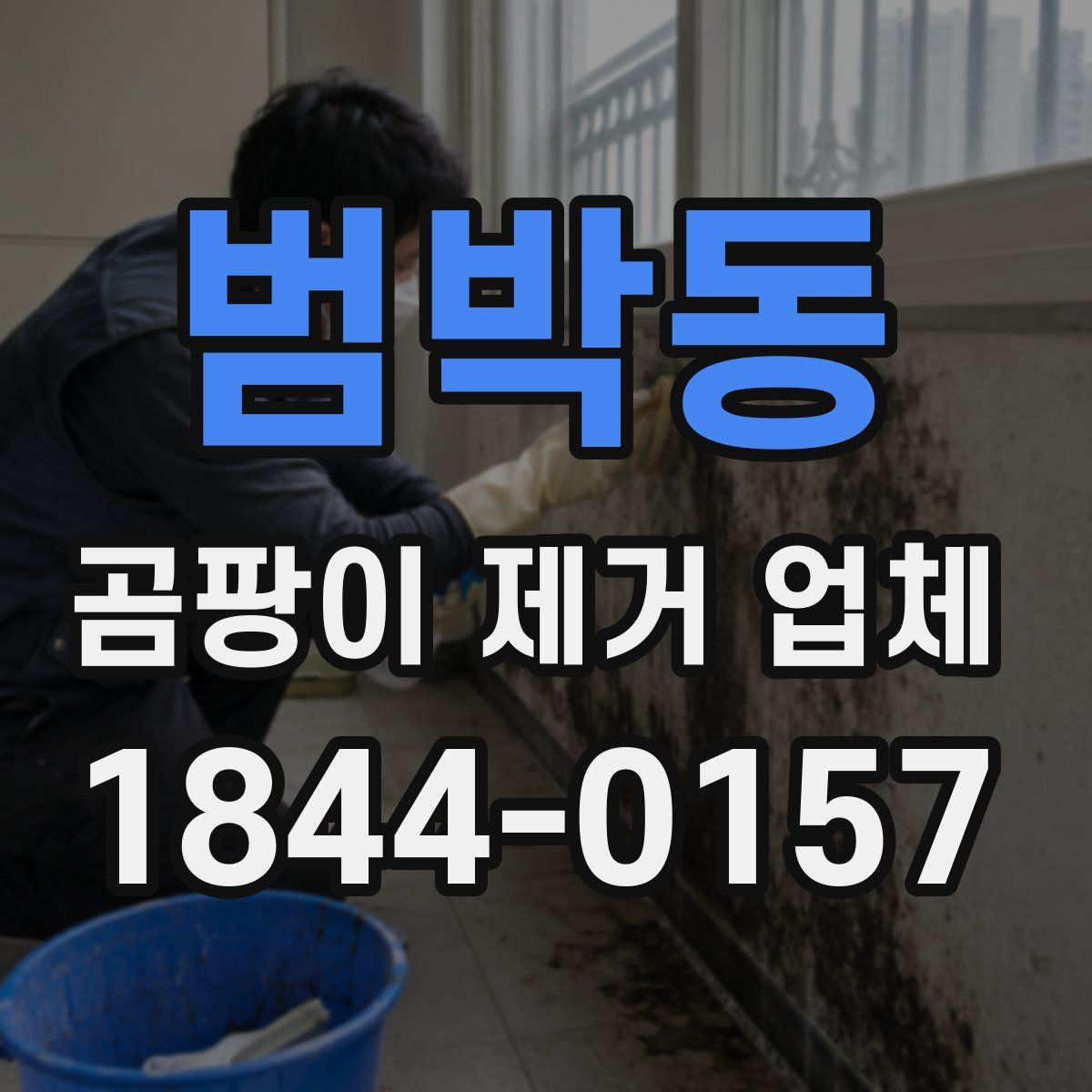 범박동 곰팡이 제거 업체