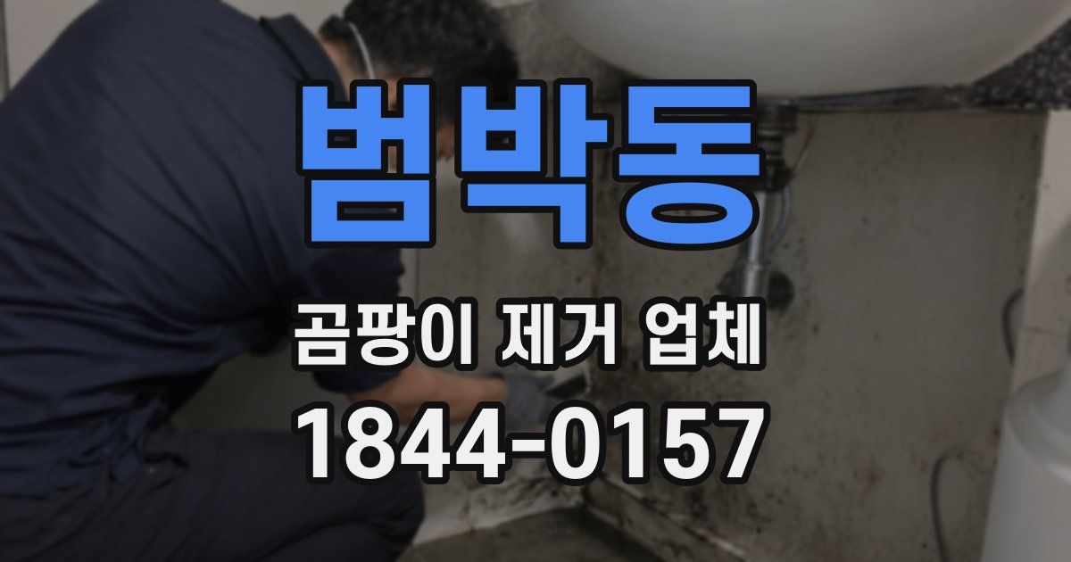 범박동 곰팡이 제거 업체
