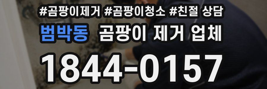 범박동 곰팡이 제거 업체