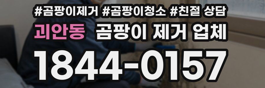 괴안동 곰팡이 제거 업체