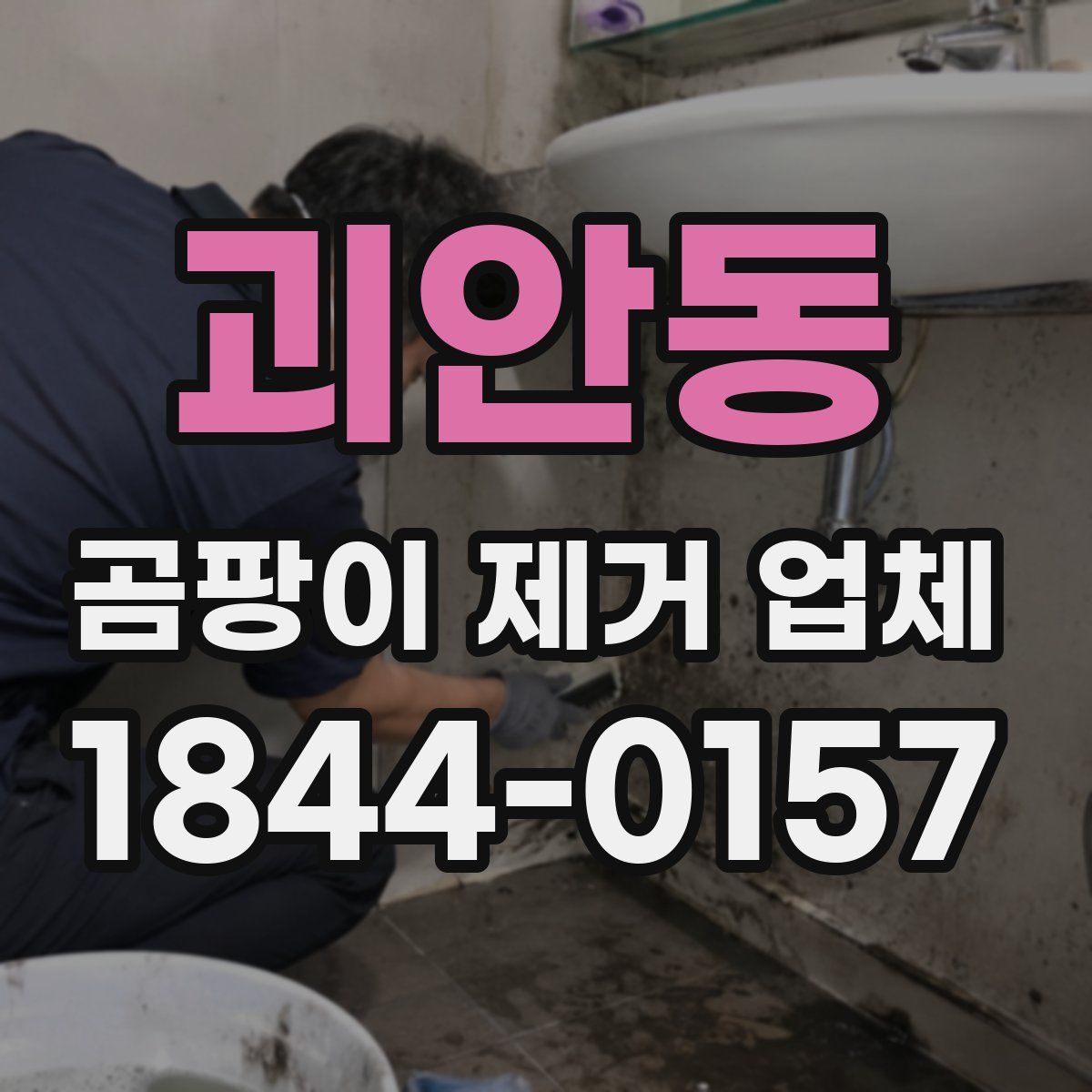 괴안동 곰팡이 제거 업체