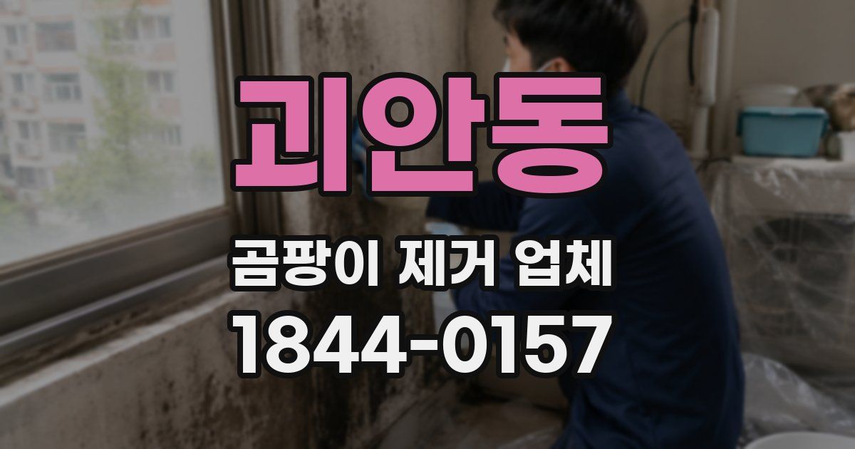 괴안동 곰팡이 제거 업체
