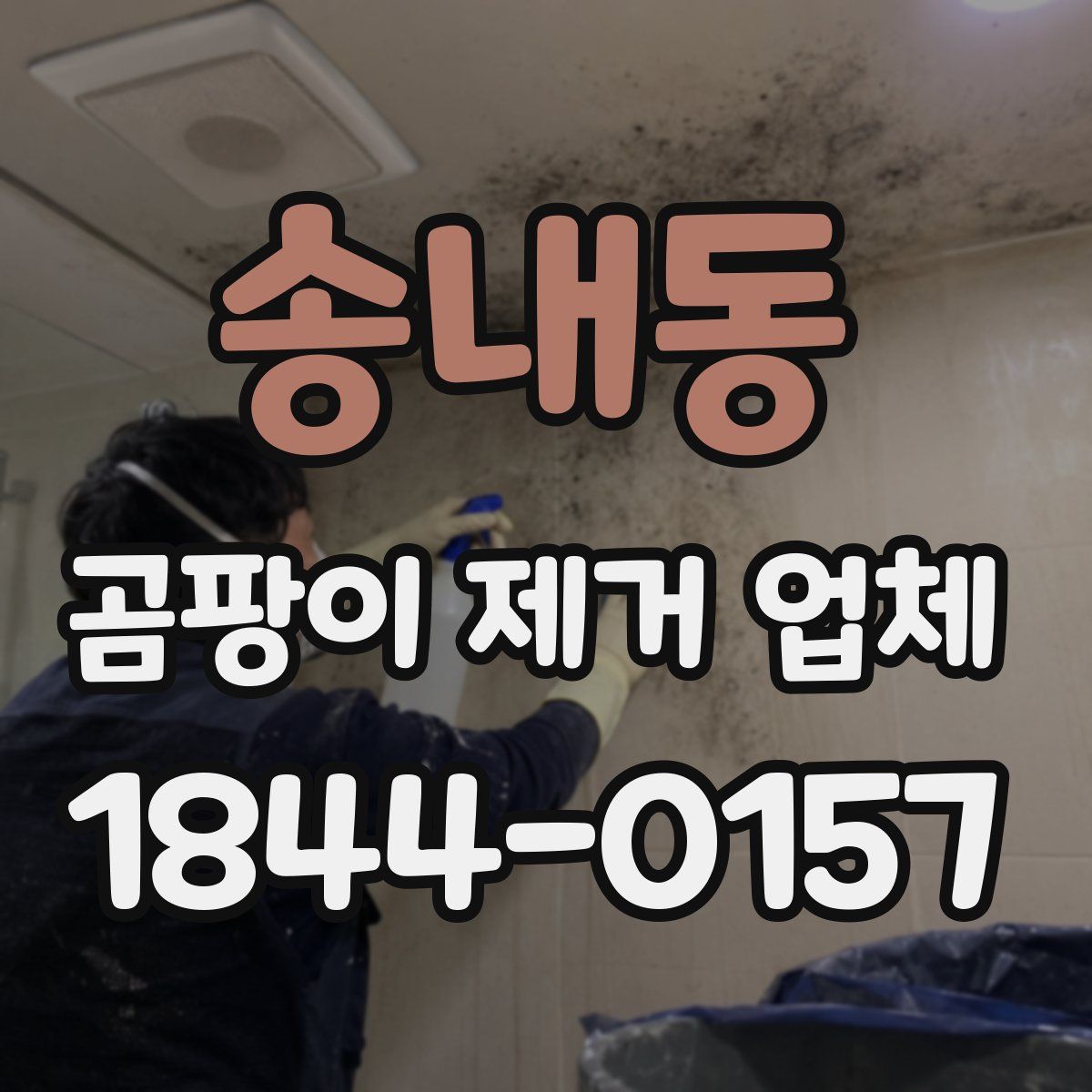 송내동 곰팡이 제거 업체