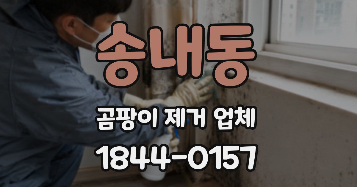 송내동 곰팡이 제거 업체