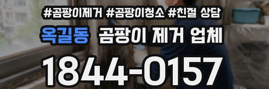 옥길동 곰팡이 제거 업체