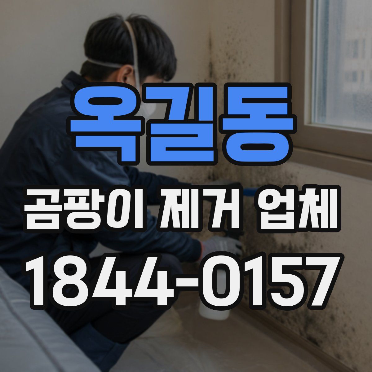 옥길동 곰팡이 제거 업체