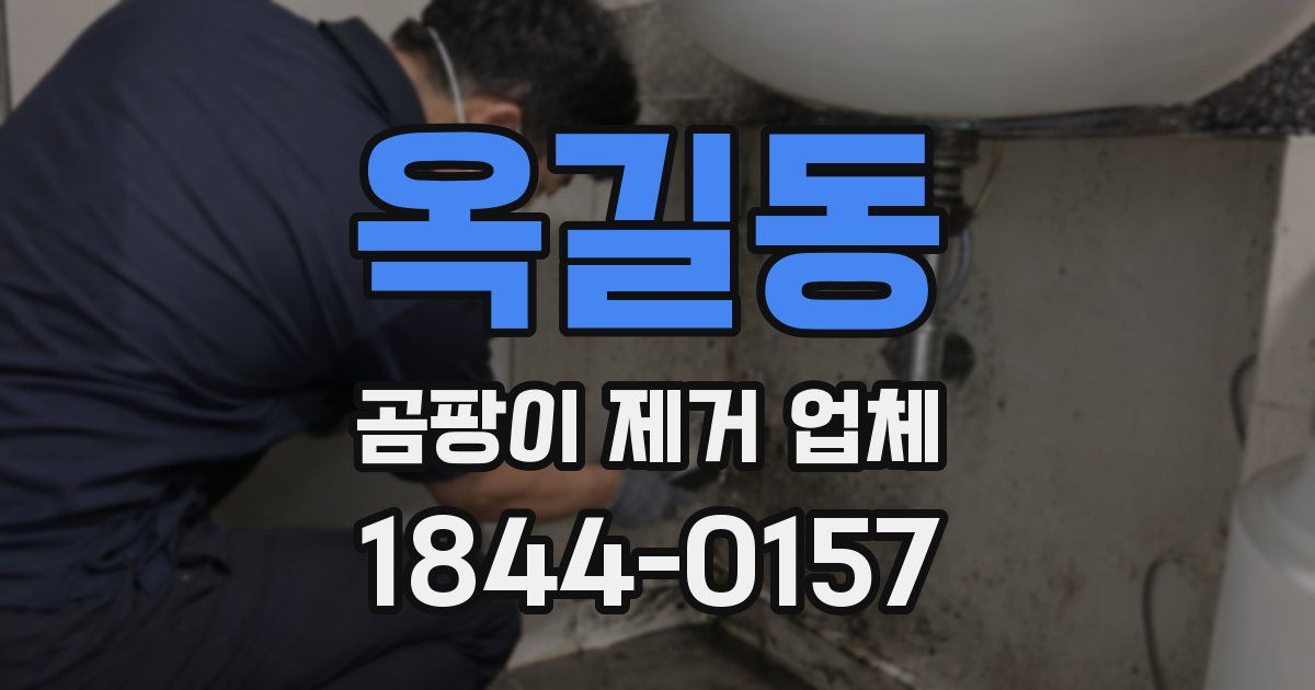 옥길동 곰팡이 제거 업체