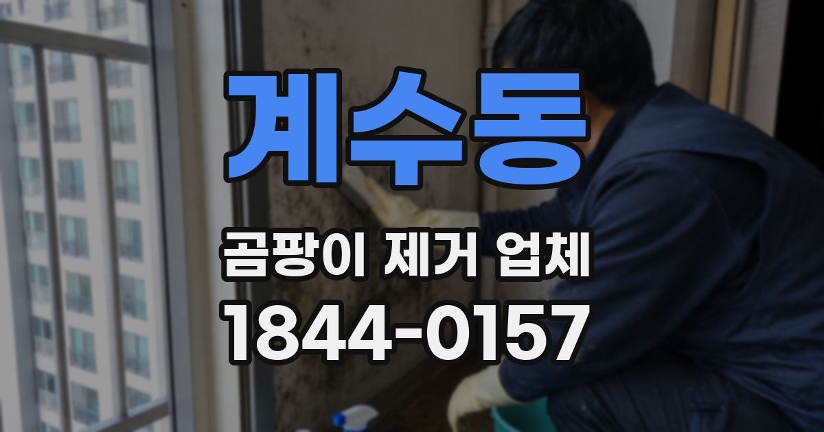 계수동 곰팡이 제거 업체