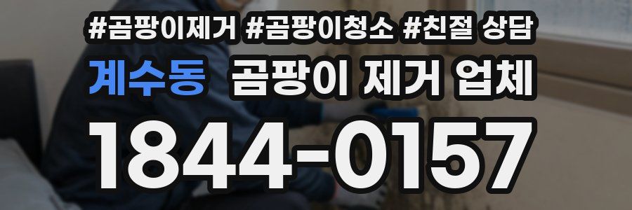 계수동 곰팡이 제거 업체