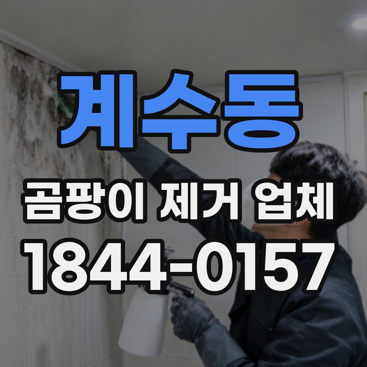 계수동 곰팡이 제거 업체