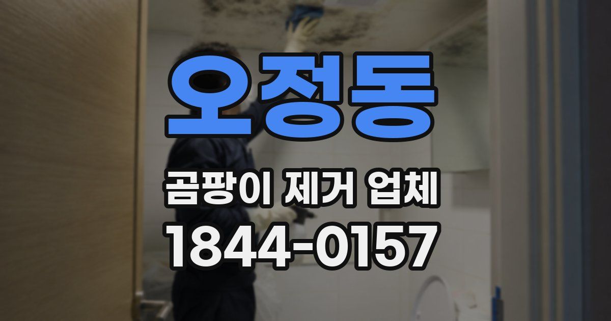 오정동 곰팡이 제거 업체