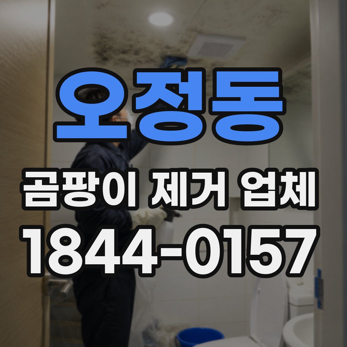 오정동 곰팡이 제거 업체