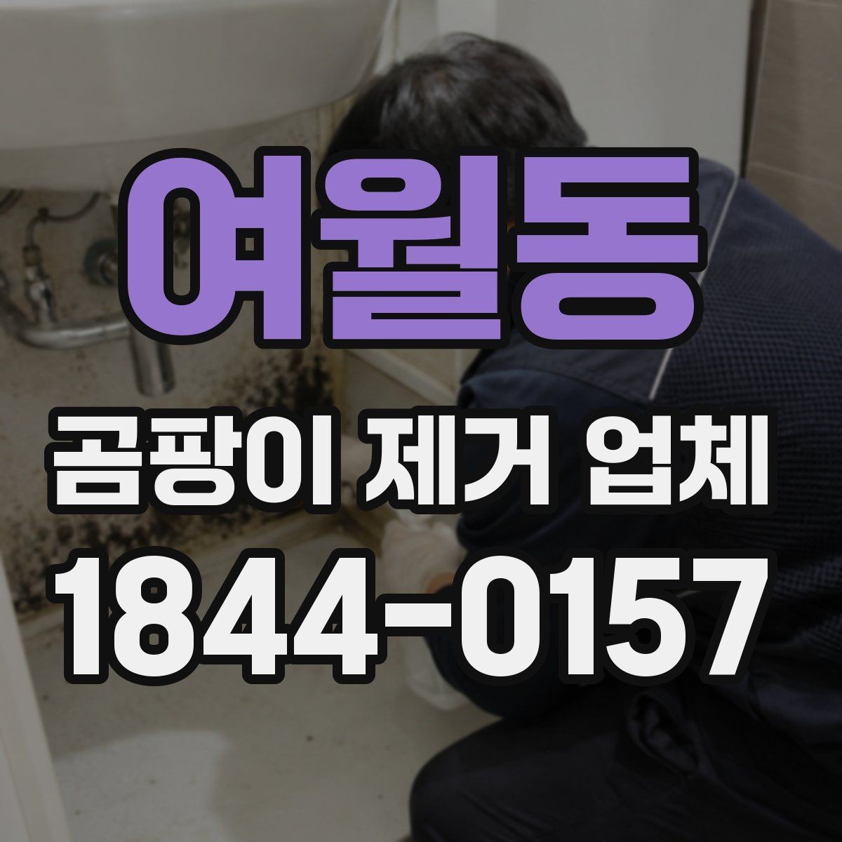 여월동 곰팡이 제거 업체 선택 전 알아볼 후기와 평판