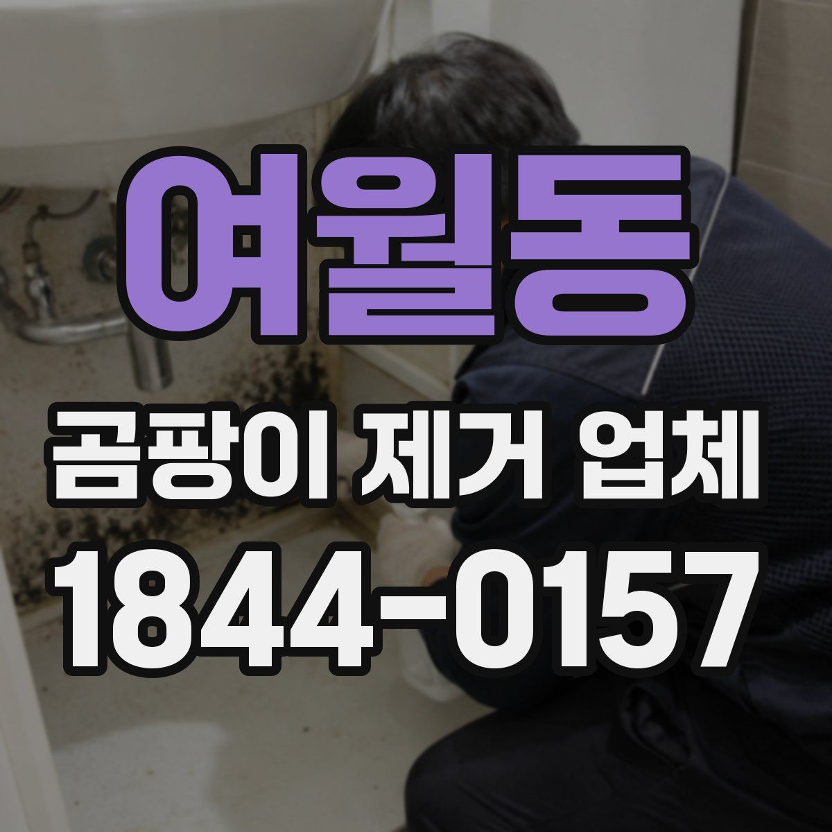 여월동 곰팡이 제거 업체