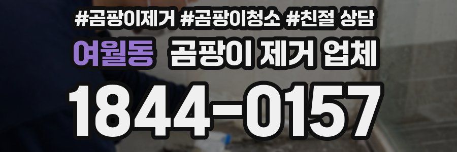 여월동 곰팡이 제거 업체