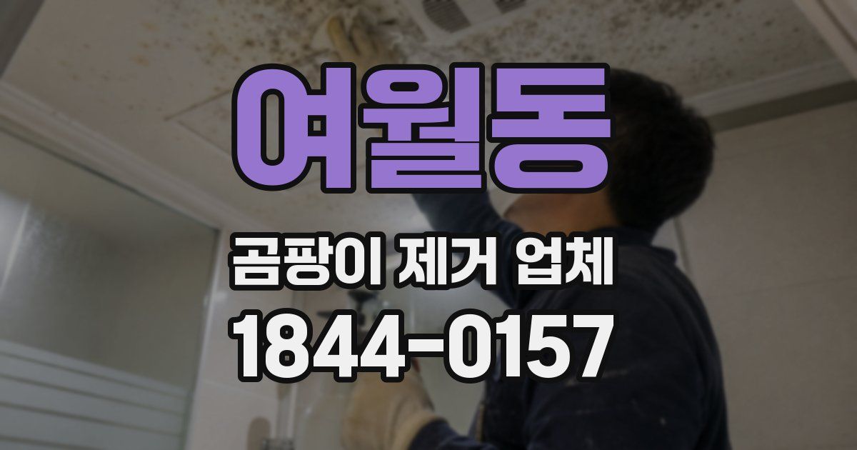 여월동 곰팡이 제거 업체