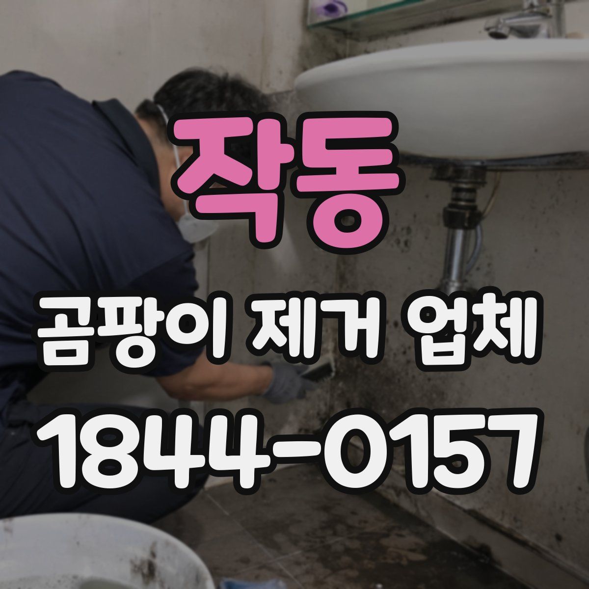 작동 곰팡이 제거 업체