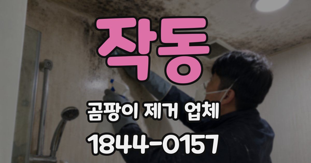 작동 곰팡이 제거 업체