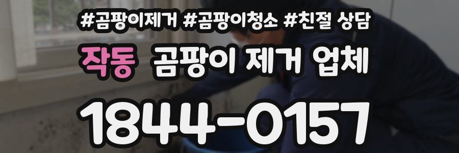 작동 곰팡이 제거 업체