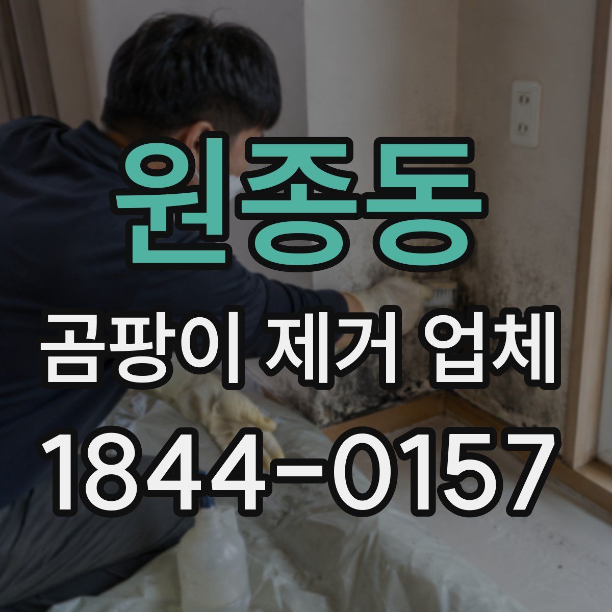 원종동 곰팡이 제거 업체