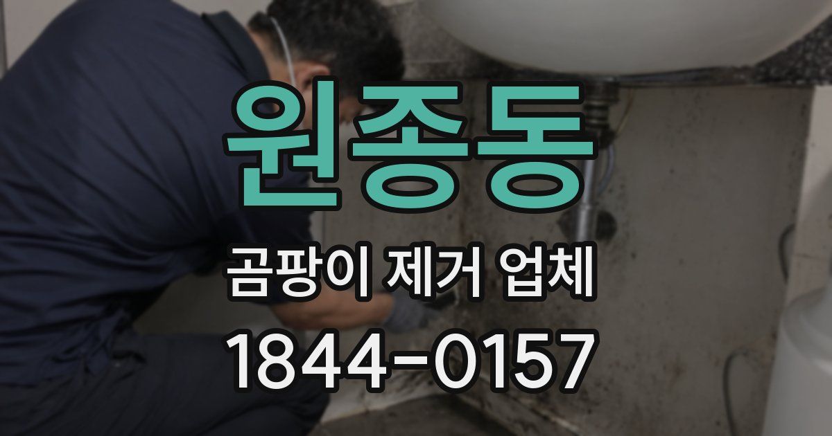 원종동 곰팡이 제거 업체
