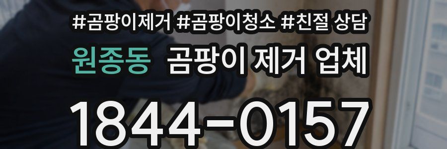 원종동 곰팡이 제거 업체