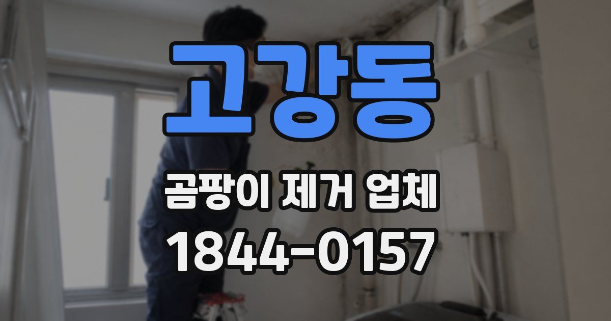 고강동 곰팡이 제거 업체
