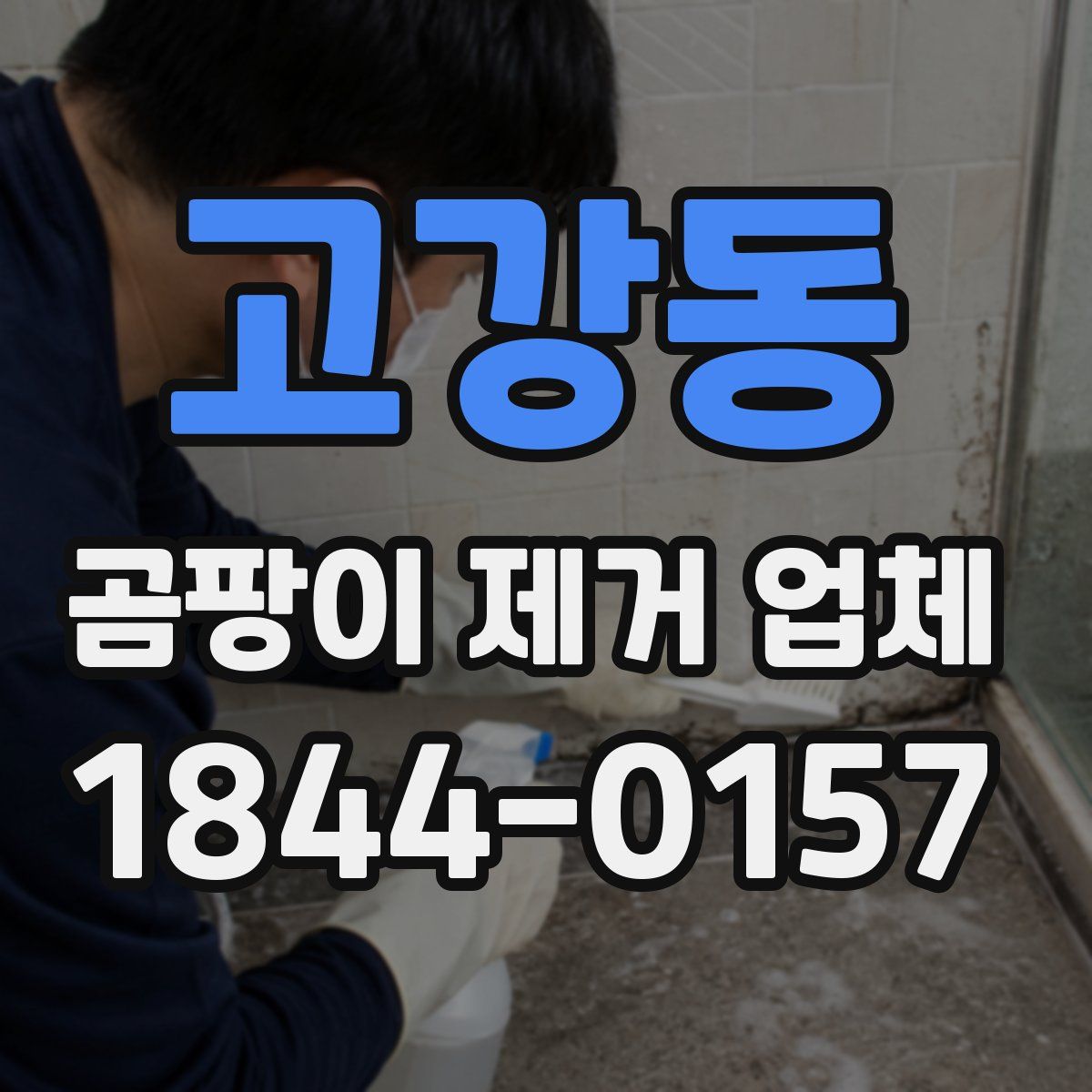 고강동 곰팡이 제거 업체