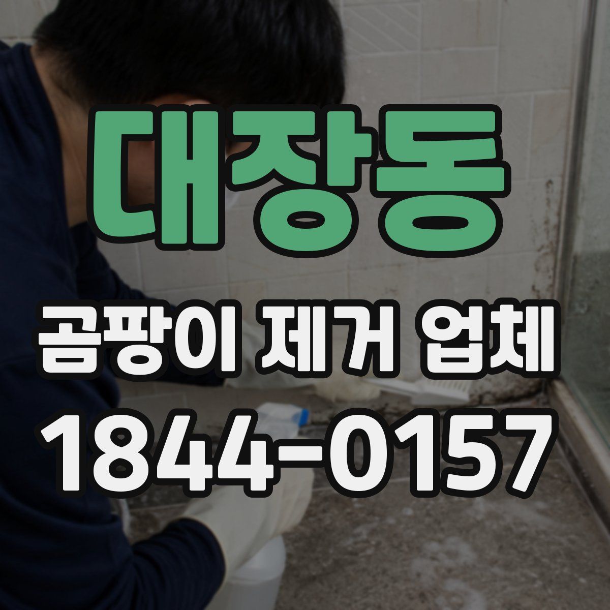 대장동 곰팡이 제거 업체