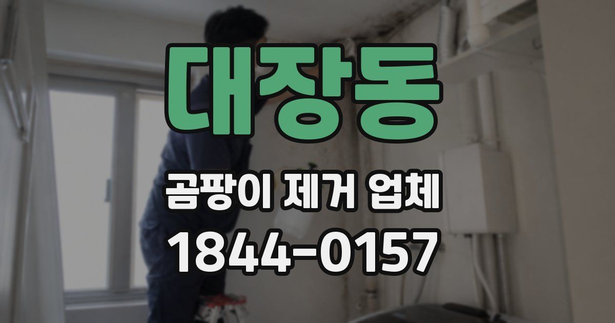 대장동 곰팡이 제거 업체