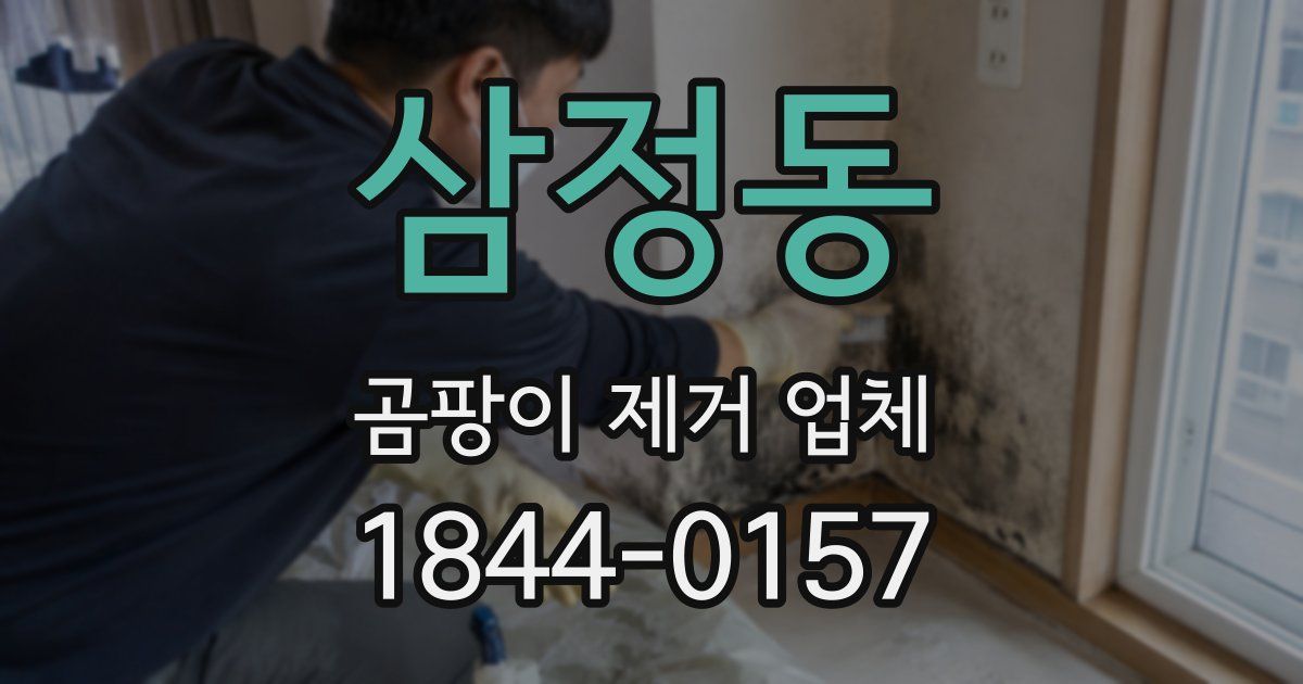 삼정동 곰팡이 제거 업체
