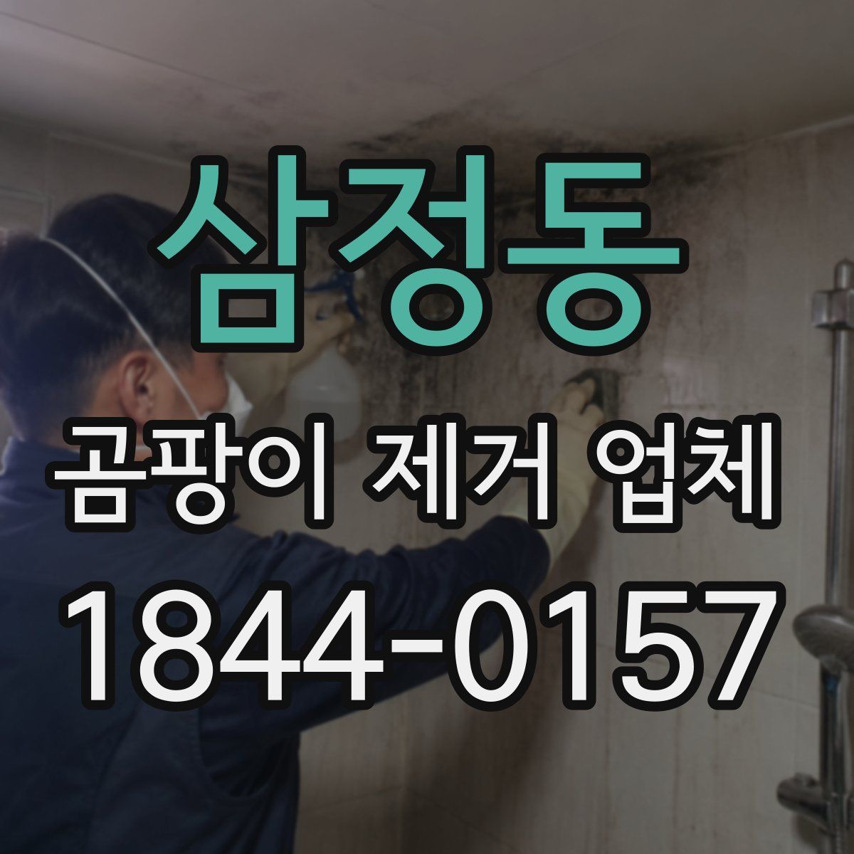 삼정동 곰팡이 제거 업체