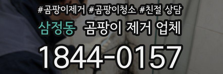삼정동 곰팡이 제거 업체