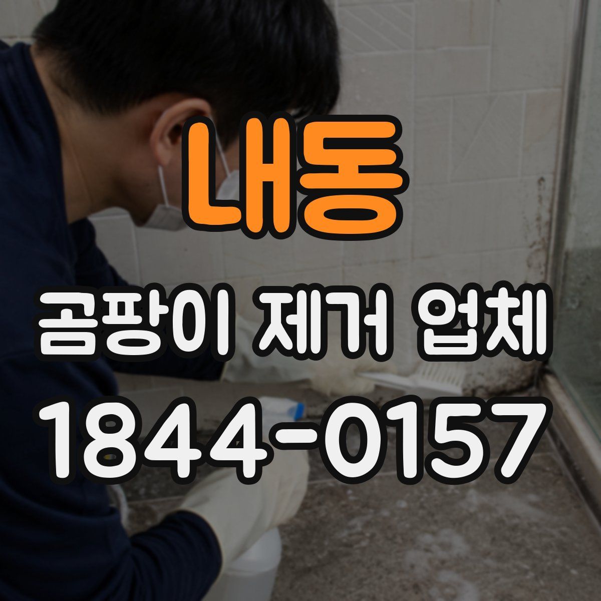 내동 곰팡이 제거 업체