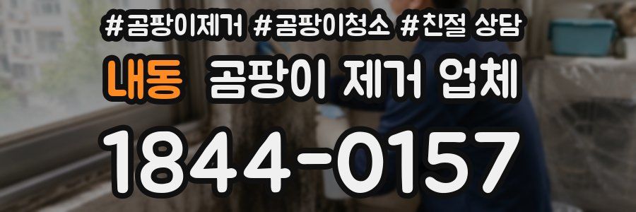 내동 곰팡이 제거 업체