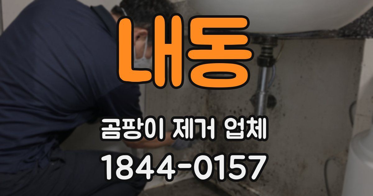 내동 곰팡이 제거 업체