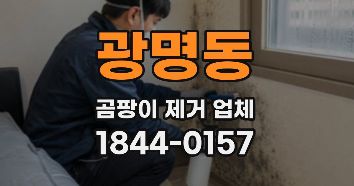 광명동 곰팡이 제거 업체