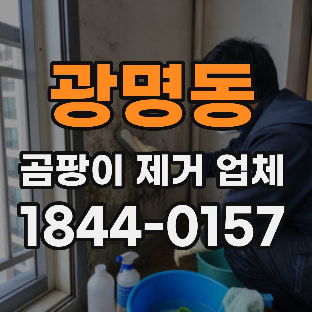 광명동 곰팡이 제거 업체