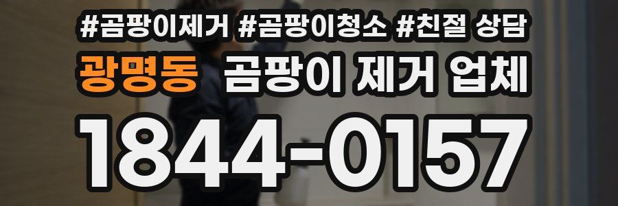 광명동 곰팡이 제거 업체