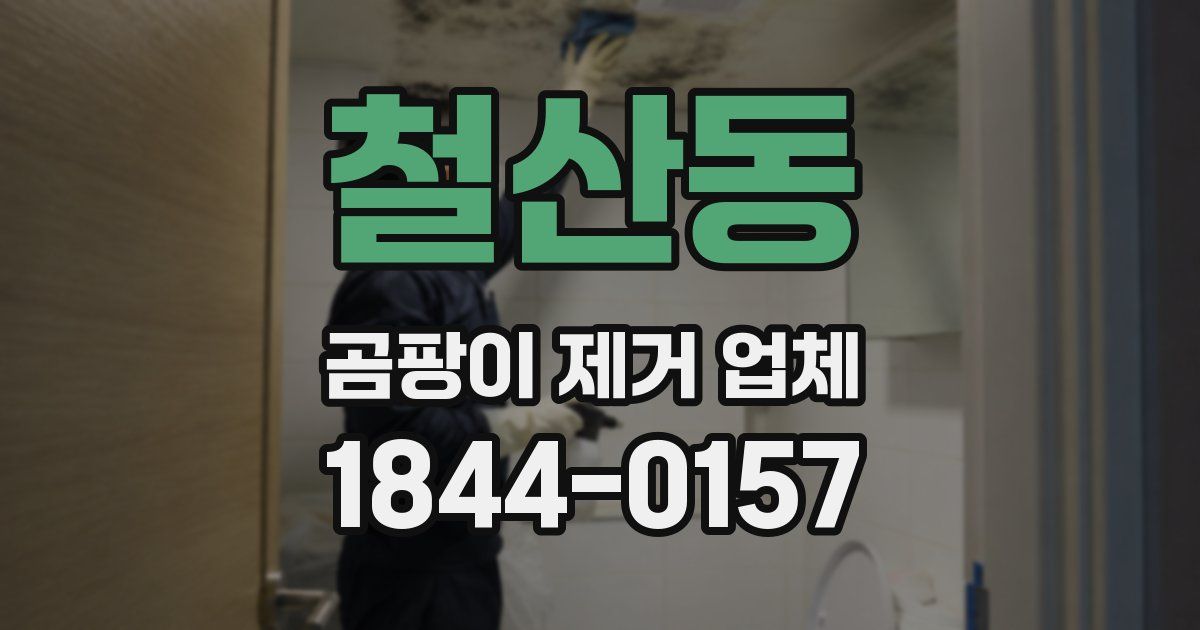 철산동 곰팡이 제거 업체
