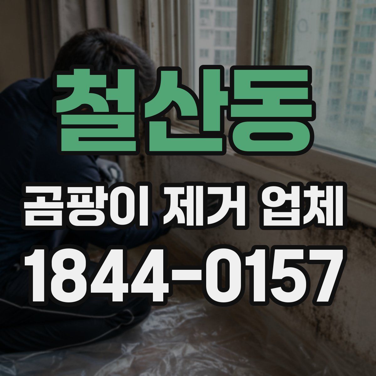 철산동 곰팡이 제거 업체